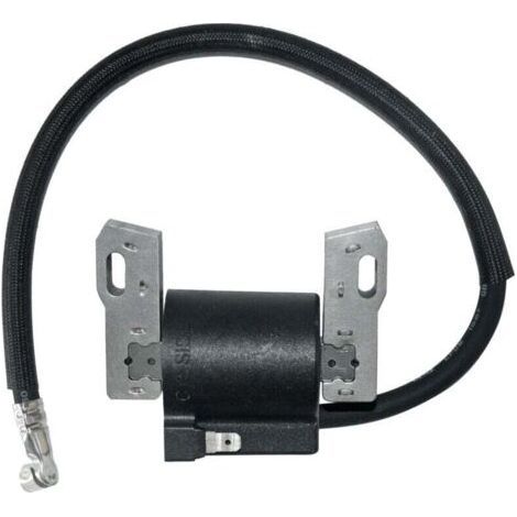 Bobine d\'allumage pour Briggs Stratton 591420 398593 496914 793281 792395 -..DEBUNS-NANOTEH (1/4)