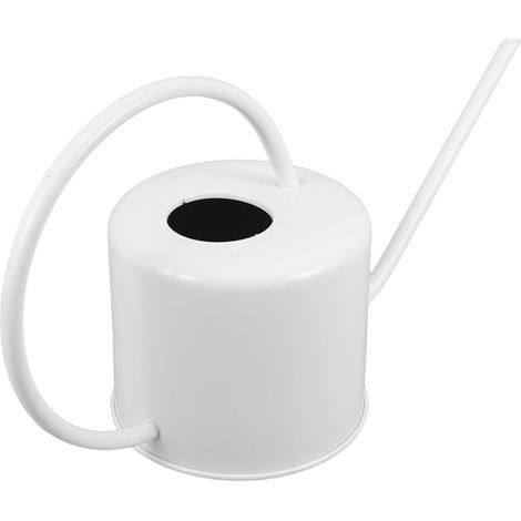 Arrosoir Acier Inoxydable pour Plantes Intérieur et Succulentes Bec Long pour Arrosage Précis Pot Arrosage Jardin Métal Blanc Ergonomique et Résistant (1/5)