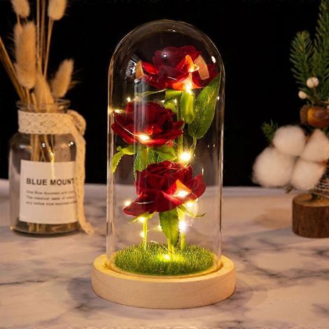 Bouquet de roses artificielles « Amoureux immortels » style simulation, bûche LED en verre, cadeau d'anniversaire, fleurs artificiellesbeige gazon (1/5)