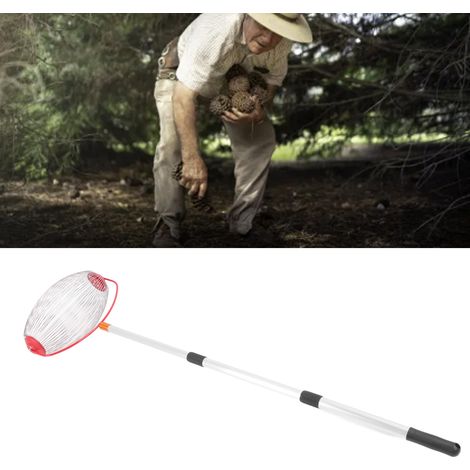 Recolector de frutos secos telescópico de aluminio con cesta de 34 cm para avellanas y castañas. (1/5)