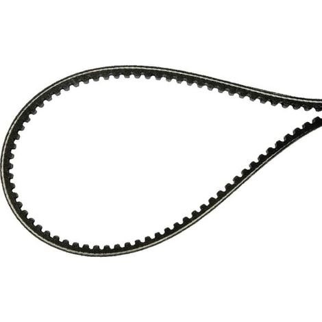 Correa trapezoidal AS-MOTOR E11799ASM (1/2)