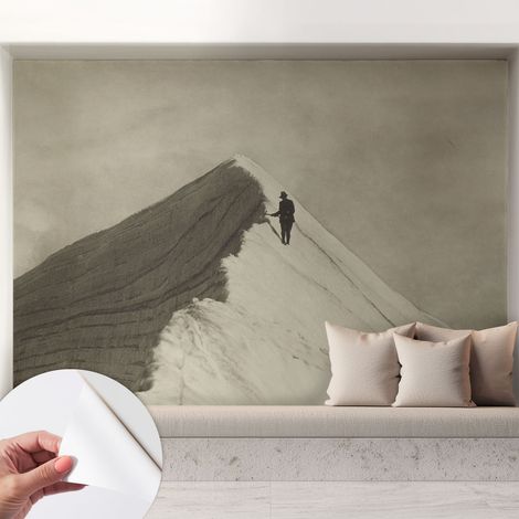 Carta da parati autoadesiva - Fotomurale adesivo - design elegante - stile moderno - Alpinista solitario 208x146 cm (1/5)