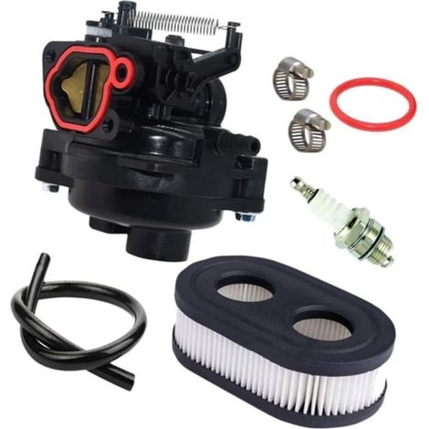 Carburador para cortacéspedes Briggs & Stratton 550EX, 625EXE y 675EX: 09P702-0145-F1, 799584, 594058 (1/5)