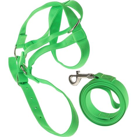 Licol en Nylon Réglable Vert pour Bovins Veaux Chevaux et Chèvres – Licol de Dressage Solide avec Corde Résistante Adapté Sevrage Contrôle des Animaux de Ferme (1/5)