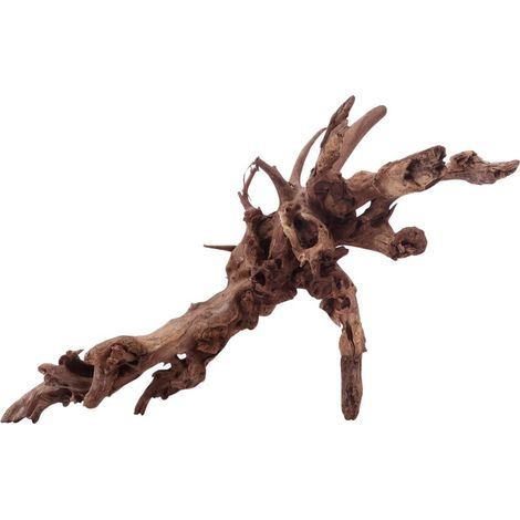 XL Driftwood Flußwurzel Nr.4953 Holz Deko Aquascaping