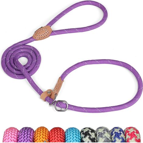Lasso Dog Lead 150 cm, Sliding Training with Brake, Reflective Choke for Puppies, Small, Medium, Large Dogs (6 mm, Purple) (1/5)
