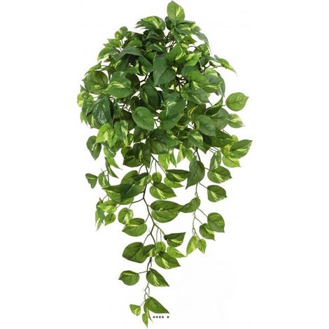 Piquet de Pothos artificiel Vert H 87 cm L 60 avec ramures (1/3)