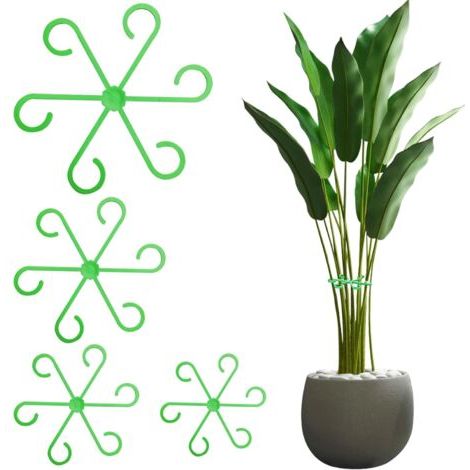 Ensemble de Supports pour Plantes - 8 Support Plantes Interieur - Aide à Grimpante Monstera et Supports pour Plantes - Tuteurs pour Plantes d'Intérieur, Plantes Vivaces et Fleurs (4, Vert) (1/5)