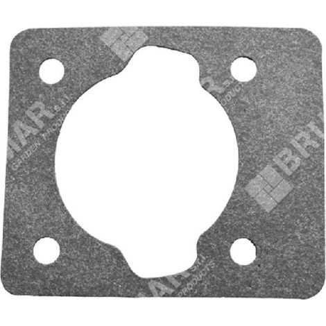 Guarnizione cilindro per tagliasiepi GREEN LINE Compatibile - 038369