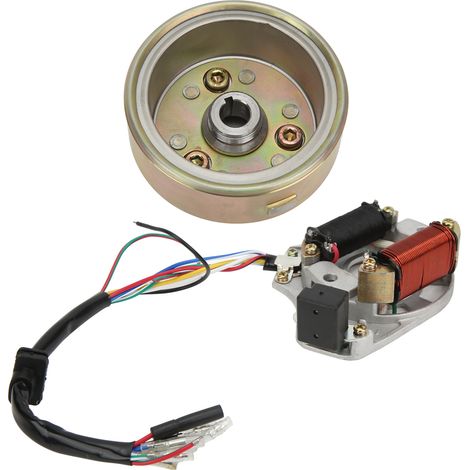 Schwungrad-Magneto-Stator-Rotor-Motorkit 110CC 125CC PIT PRO Cross Pit Bike Trail Motorrad (1/5)
