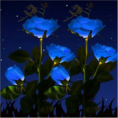Lot de 2 lampes solaires pour décoration extérieure - Lampes solaires pour extérieur - Lampes solaires étanches pour jardin - LED rose pour jardin, buissons, pelouse, clôtures (bleu) [Classe énergétiq (1/5)