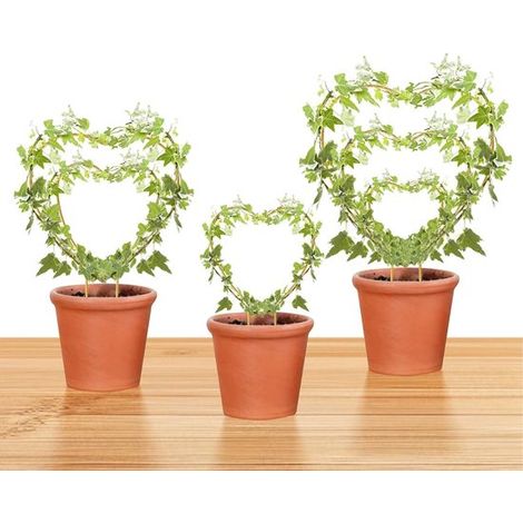 Treillis plantes lot de 3 - treillis plantes grimpantes - Tuteur plantes - autoportant - Supports plantes grimpantes - treillis jardin - Supports plantes - Treillis extérieur - pour lierre - pour plan (1/5)