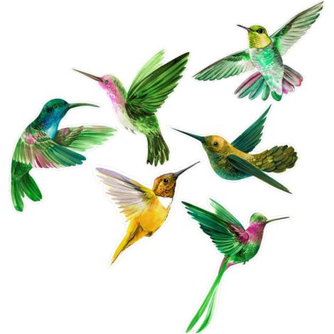 Autocollants Statiques Pour Fenêtres En Pvc Pour Oiseaux - Autocollants Décoratifs Pour Fenêtres - Installation Facile (1/5)