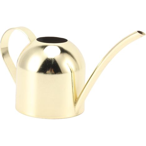Arrosoir en acier inoxydable, grande capacité, long bec, pour jardinage intérieur et extérieur, couleur or. (1/5)