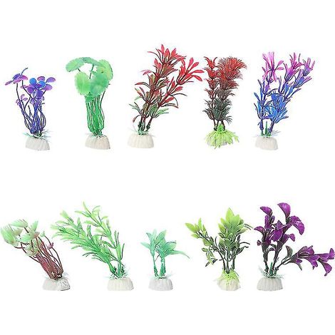 10 plantes d'aquarium (1/3)