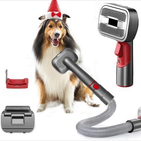Brosse Chien pour Dyson V7 V8 V10 V11 V12 V15 Brosse Poil Chat Toilettage Poils Animaux pour Dyson Accessoires avec Extension Tuyau et Verrou de Gâchette 2 Brosse Poils Chat et Chien (1/4)