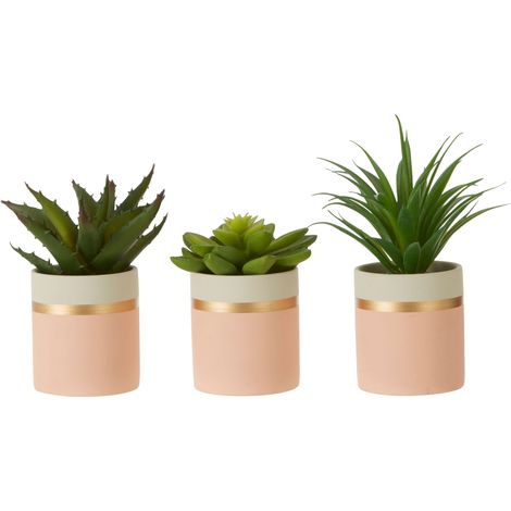 Premier Housewares Fiori Set of 3 Pink Pot Succulents