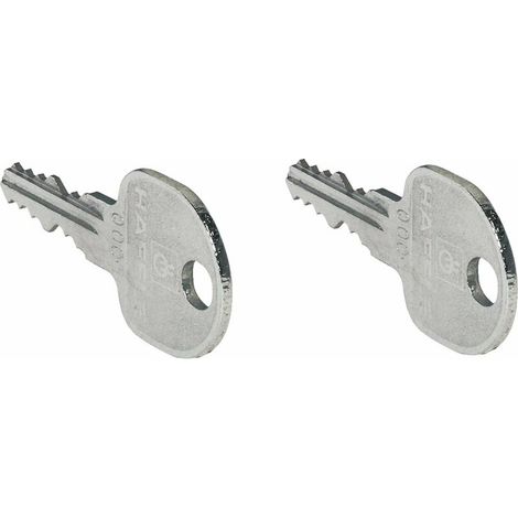– Clé universelle pour cylindre à paillettes – Serrure noyau interchangeable – Verrou de porte et portail – 2 unités