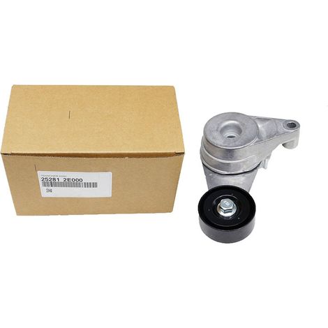 252812E000 convient au tendeur de courroie de distribution des Hyundai Kia Tucson IX35 Optima K5. (1/4)