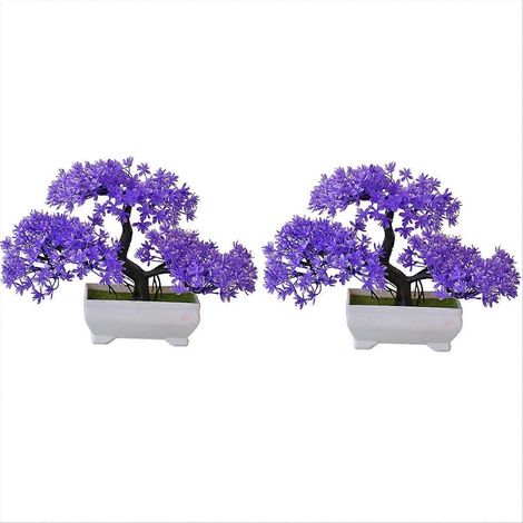 Set mit 2 Kunststofftöpfen für künstliche Bonsai. (1/5)