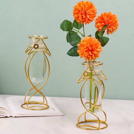 Vase Hydroponique - Verre et Cadre en Fer - Forme Poisson - Bureau Intérieur Salon Chambre - 3 Tailles Disponibles (1/5)