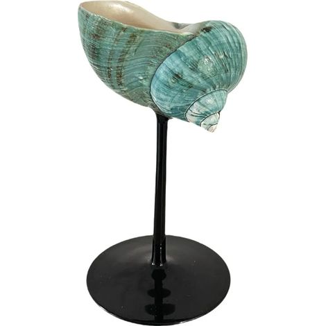 Verre à vin à pied en coquillage naturel, verre artistique en coquillage irrégulier, décoration intérieure.