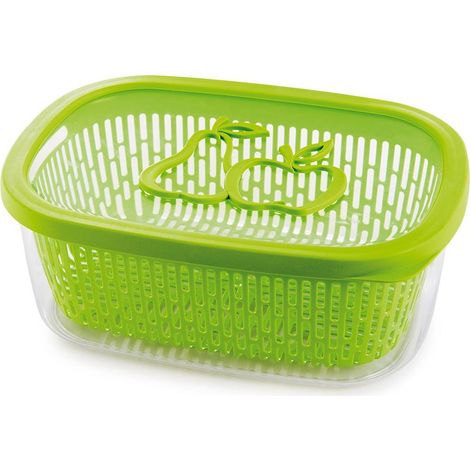 Snips  Aroma Keeper 4 LT  Contenitore Per Cibi Salva Aroma 4 LT Rettangolare Con Griglia Colore Verde  Chiusura Ermetica  28,5 x 20,5 x 4,5 cm Made in Italy  Bpa Free (1/5)