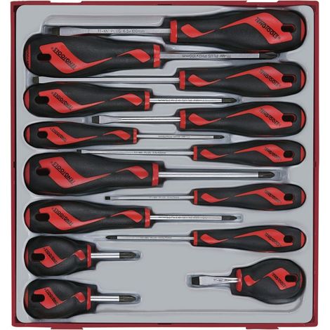 Jeu de tournevis mixtes TT2 tray Plat- PH- PZ 14 pièces Teng Tools TTD914N (1/5)