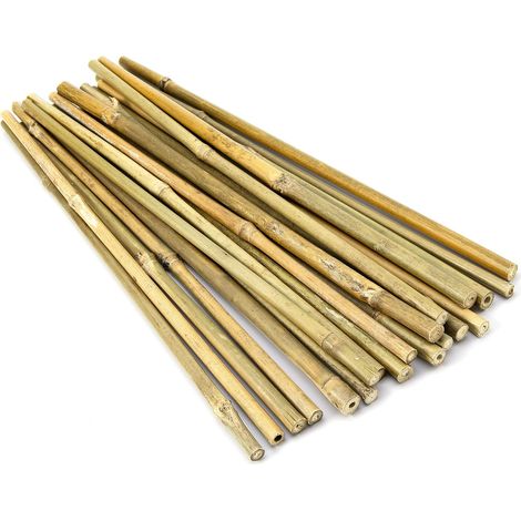 Piquets en Bambou épais Naturel piquets de Jardin Cannes de Bambou pour Le Soutien des Plantes. 40 CM