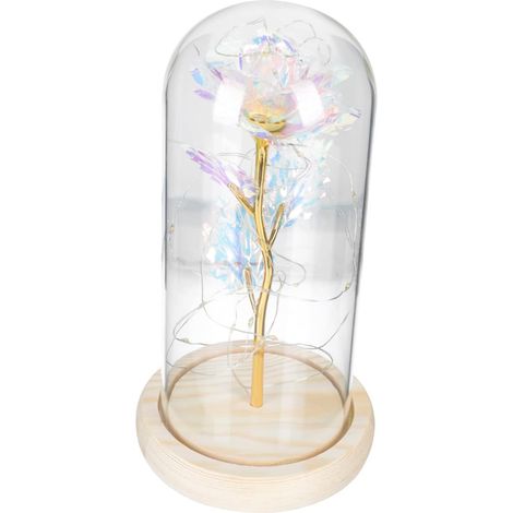 Décoration de Roses Artificielles pour Saint-Valentin Cadeau de Roses sous Cloche Verre avec Décoration Lumineuse (1/5)