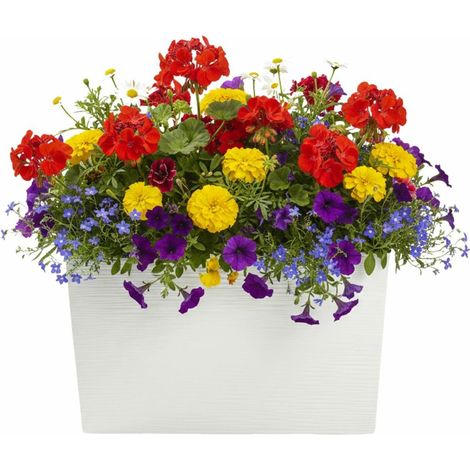 Pot de fleurs Bloom Riflo crème h36,2 x 56,1 cm (1/5)