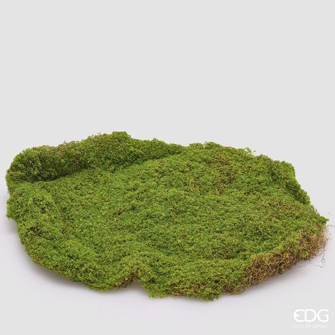 EDG Enzo De Gasperi Muschio Zolla Artificiale H 5 Cm D 40 Cm Verde