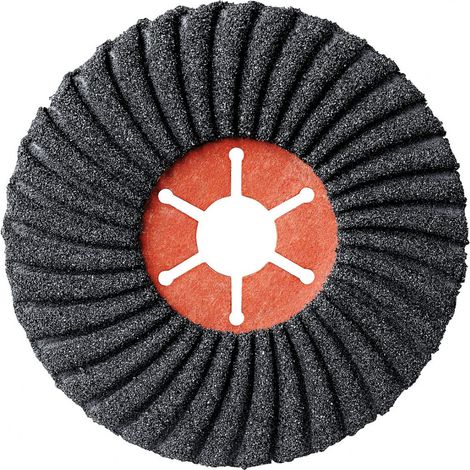 Disco Semiflexible de Carburo de Silicio ø 125 x 22 mm Grano 36