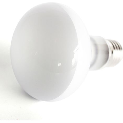 Lampe chauffante UVA 110 V 100 W pour reptiles (tortues, lézards, hérissons) (1/5)