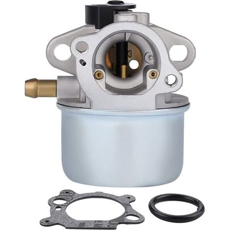 Carburateur 799868 avec joint et joint torique. Compatible avec les carburateurs Briggs & Stratton 498170, 498254, 497347 et 497314. (1/4)