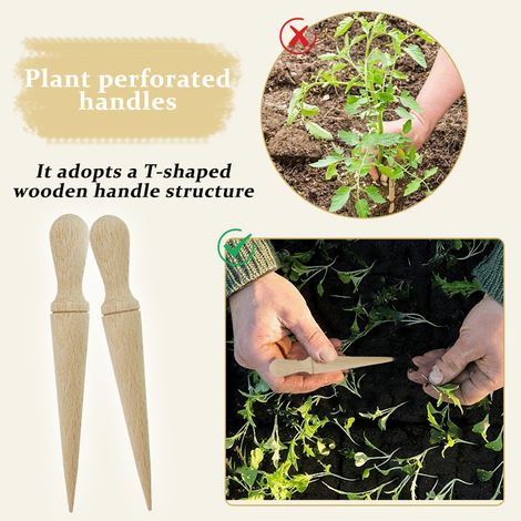 2 poignées perforées, dimensions 14,7 x 2, pour mesurer l'espacement des graines dans le jardinage et l'horticulture. (1/5)