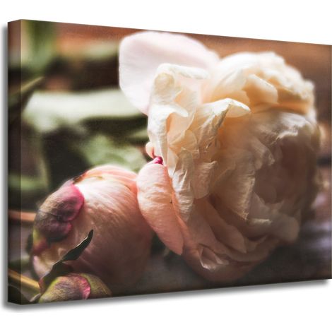 Impression sur toile Botanique Fleurs Pivoine 40x30 cm