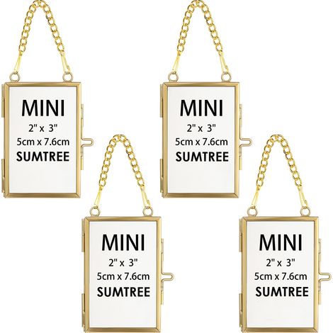 Lot de 4 mini cadres photo rectangulaires en métal et verre - À suspendre - Ornement géométrique - Plante - Clip pour fleurs pressées - Doré (1/5)