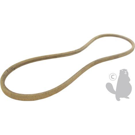 Cinghia originale Ayp Marche Av per motocoltivatore. Origine 133035 (Origine: 133035)
