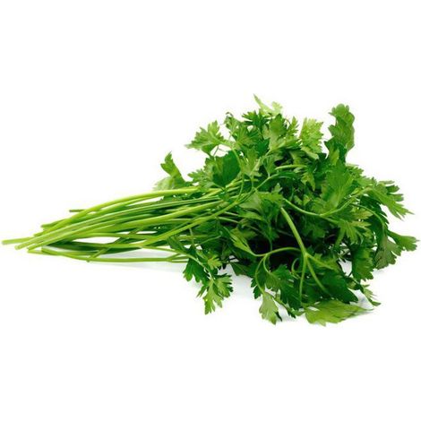 Semi prezzemolo comune foglia piccola sementi italiano aromatiche piante gr 10