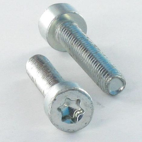 Vis autotaraudeuse Tête cylindrique TC 4X12 TORX T20 Acier zingué-10 pièces (1/3)