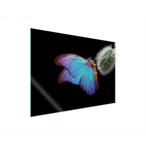 GLASSCHUTZPLATTE FÜR HERD 70x52 BUTTERFLY (1/5)