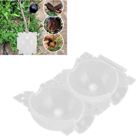 10 unités à vendre : Boîte de marcottage aérien pour plantes, dispositif de multiplication par bouturage et greffage, boîte d'enracinement, boule de marcottage aérien pour arbres de jardin (1/5)