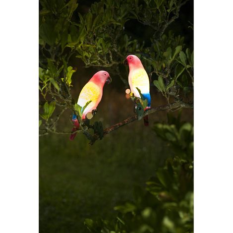 Décoration solaire: Perroquet clipsable 23 cm, une touche tropicale qui veille dans la nuit tombée (1/3)