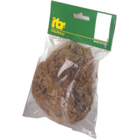 SPUGNA MARINA NATURALE 14 CM PER PITTURE   SM- ITALRULLI- 1,0 pz