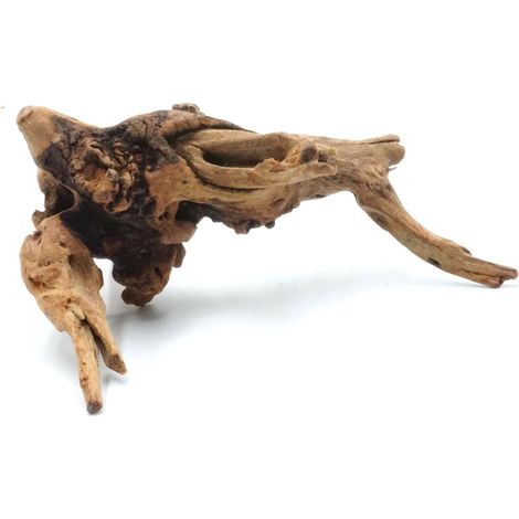 Dekorative Wurzel S 12-20 cm Wald im Glas (1/5)