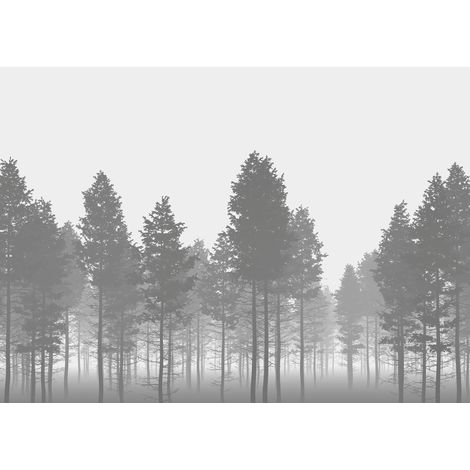 Papier peint panoramique classique Nébuleuse (1/4)