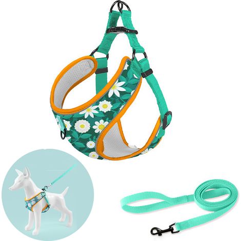Sangle pour animaux de compagnie, laisse pour chien de type gilet, poitrine et dos pour chat, écharpe pour chien, laisse poitrine et dos vert Code XS (1/5)