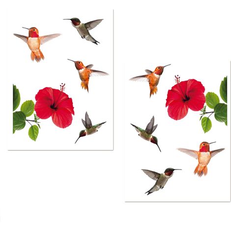 Adhésifs de vitres Hibiscus et colibris (1/3)