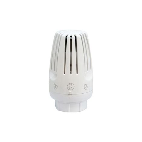 Giacomini R469H Liquid bulb thermostatic head